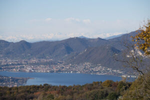 iseo -11