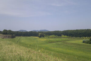 lucca -23