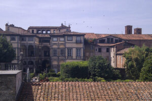 lucca -28