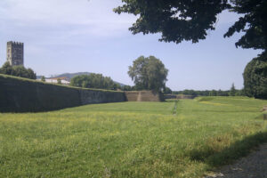 lucca -37