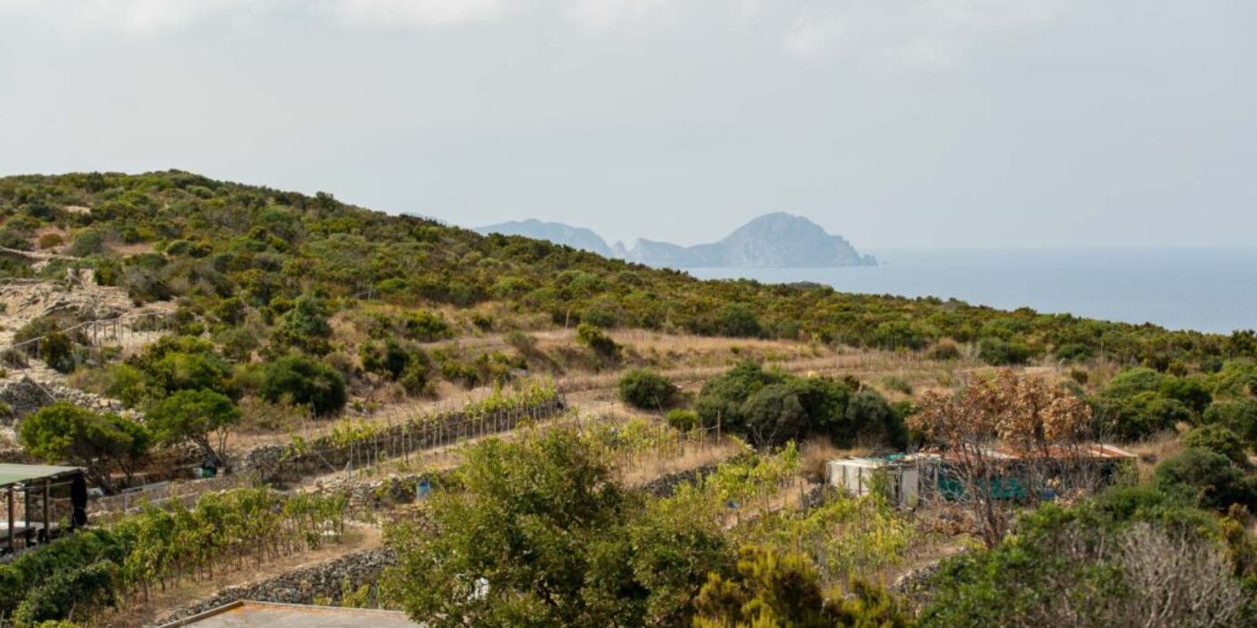 ponza punta incenso e dintorni -16