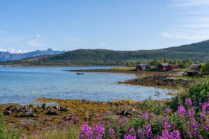 viaggio brescia-caponord-2023 Lofoten-522