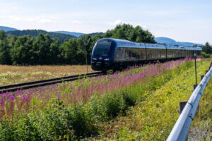 viaggio brescia-caponord-2023 verso Mo i Rana-10